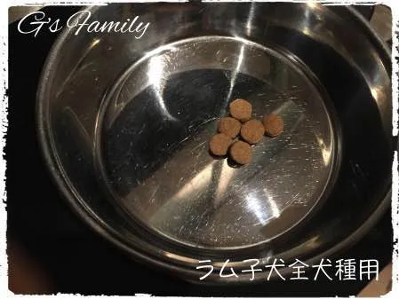 ニュートロナチュラルチョイスラム玄米子犬全犬種用