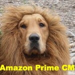 AmazonプライムCMゴールデンのライオンたてがみ
