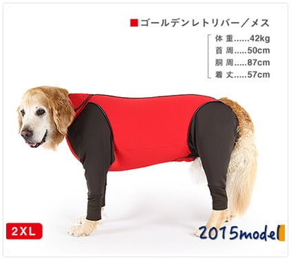 人気商品再入荷 大型犬 ラブラドール アルファアイコン　ドッグガードプロ 犬用品