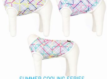 インセクトスリーブレス犬の虫除け服