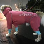 ニューレインドッグガード・アルファアイコン大型犬XLサイズ
