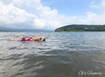 ゴールデン・レトリーバーセナ3歳7ヶ月