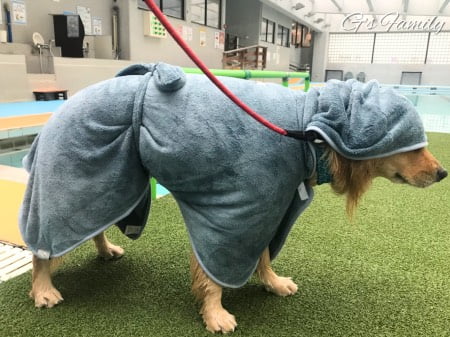 大型犬用バスローブ