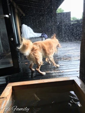 はんなり伊豆高原の犬用温泉