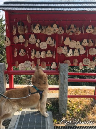 犬と伊豆高原の神祇大社