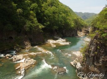 犬と鬼怒川(龍王峡)