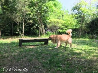 カーロリゾート鬼怒川湯わんのドッグラン