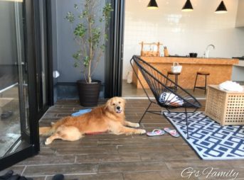 THE CHIKURA UMI BASECAMPとセナ