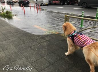 台風15号関東上陸
