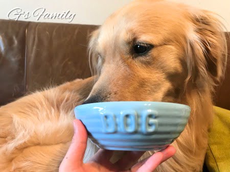 BAUER POTTERY-dogbowl-Monterey