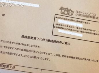 いぬとねこの保険の更新通知