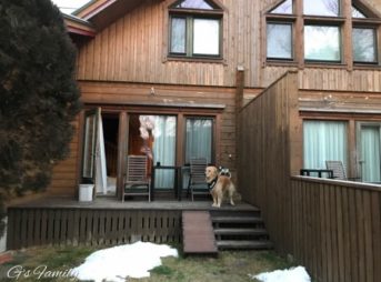 カーロフォレスタエルフォ部屋付きドッグラン