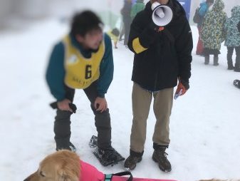 スノードッグトレイルラン2回目準優勝ゴールデン・レトリーバーセナ