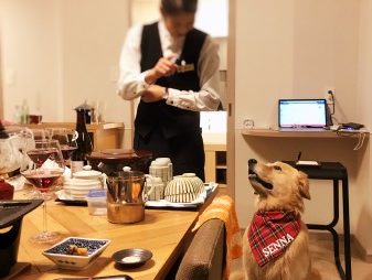 レジーナ箱根仙石原の夕食タイムでご飯待ちをするゴールデン・レトリーバーセナ