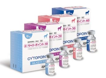 犬のアトピー性皮膚炎の薬「サイトポイント」について