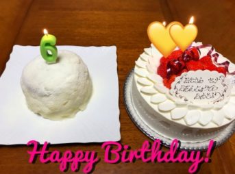 ゴールデン・レトリーバーセナ6歳誕生日