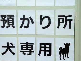 ガバメントクラウドファンディング「災害時の動物避難所マップ作成プロジェクト」