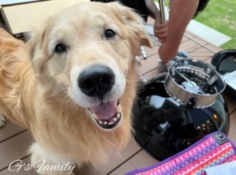 ゴールデン・レトリーバーセナ6歳4ヶ月お庭BBQの準備