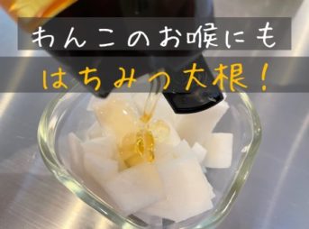 犬の咳止め・去痰・喉ケア・気管ケアにはちみつ大根