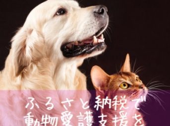 ふるさと納税で動物愛護支援をする方法