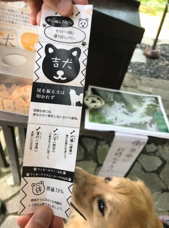 軽井沢の熊野神社(熊野皇大神社)にセナと一緒にお参りで犬おみくじを引く