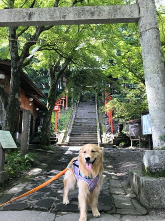 軽井沢の熊野神社(熊野皇大神社)にセナ4歳7ヶ月と一緒にお参り