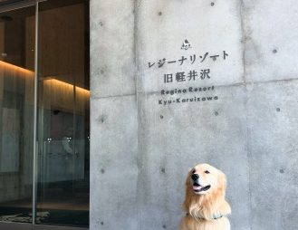 ゴールデン・レトリーバーセナ4歳7ヶ月と「レジーナリゾート旧軽井沢」に宿泊