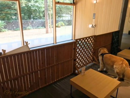「レジーナリゾート旧軽井沢」の屋内ドッグラン