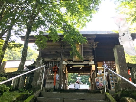 軽井沢の熊野神社(熊野皇大神社)にセナと一緒にお参り