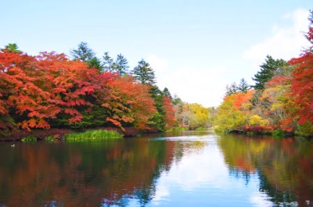 軽井沢犬散歩スポット雲場池の紅葉