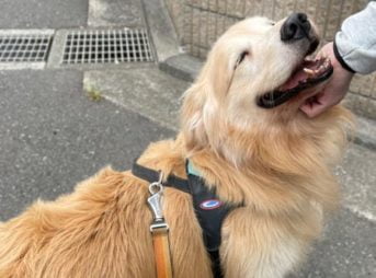 漢方クリニック受診セナ8歳3ヶ月