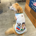 坂上忍さん運営保護犬猫ハウス「さかがみ家」の支援グッズ：ドッグデプトコラボ