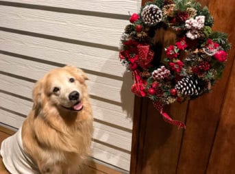 セナ9歳のお誕生日記念のクリスマスリースを購入