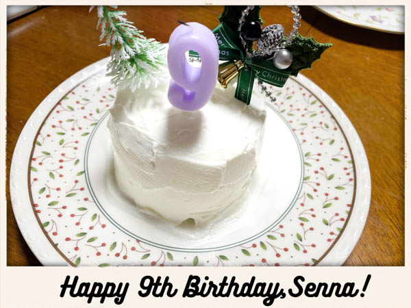 セナ9歳お誕生日の手作りお誕生日ケーキ